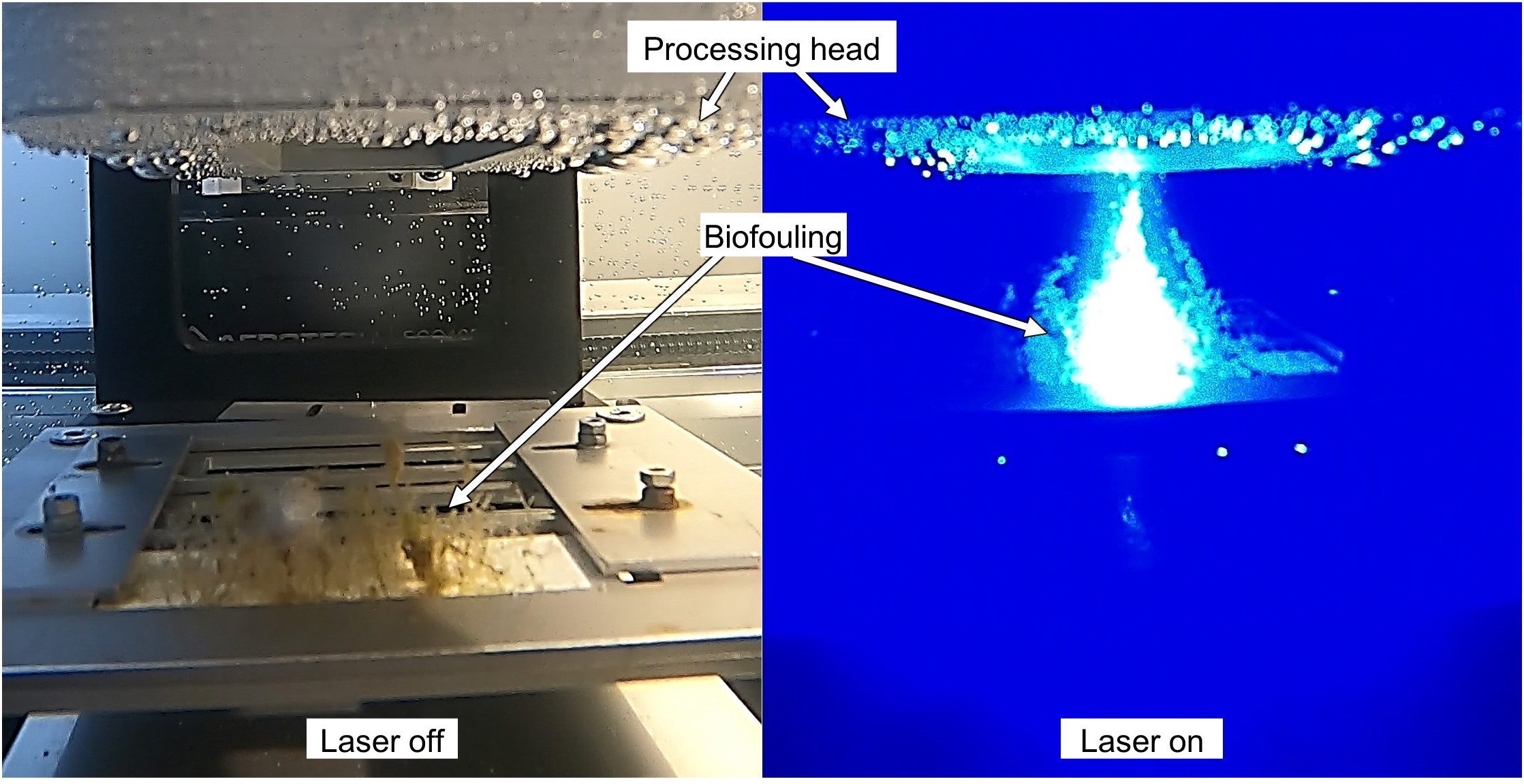 FoulLas Laser Process