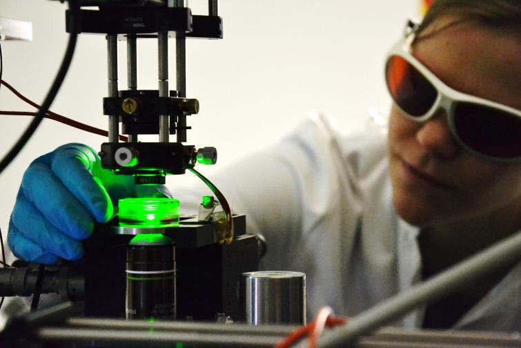 Neuartige Applikationen ermöglichen: die Optogenetik verbindet wie kaum eine andere Disziplin die Felder Optik und Biologie. (Foto: LZH)