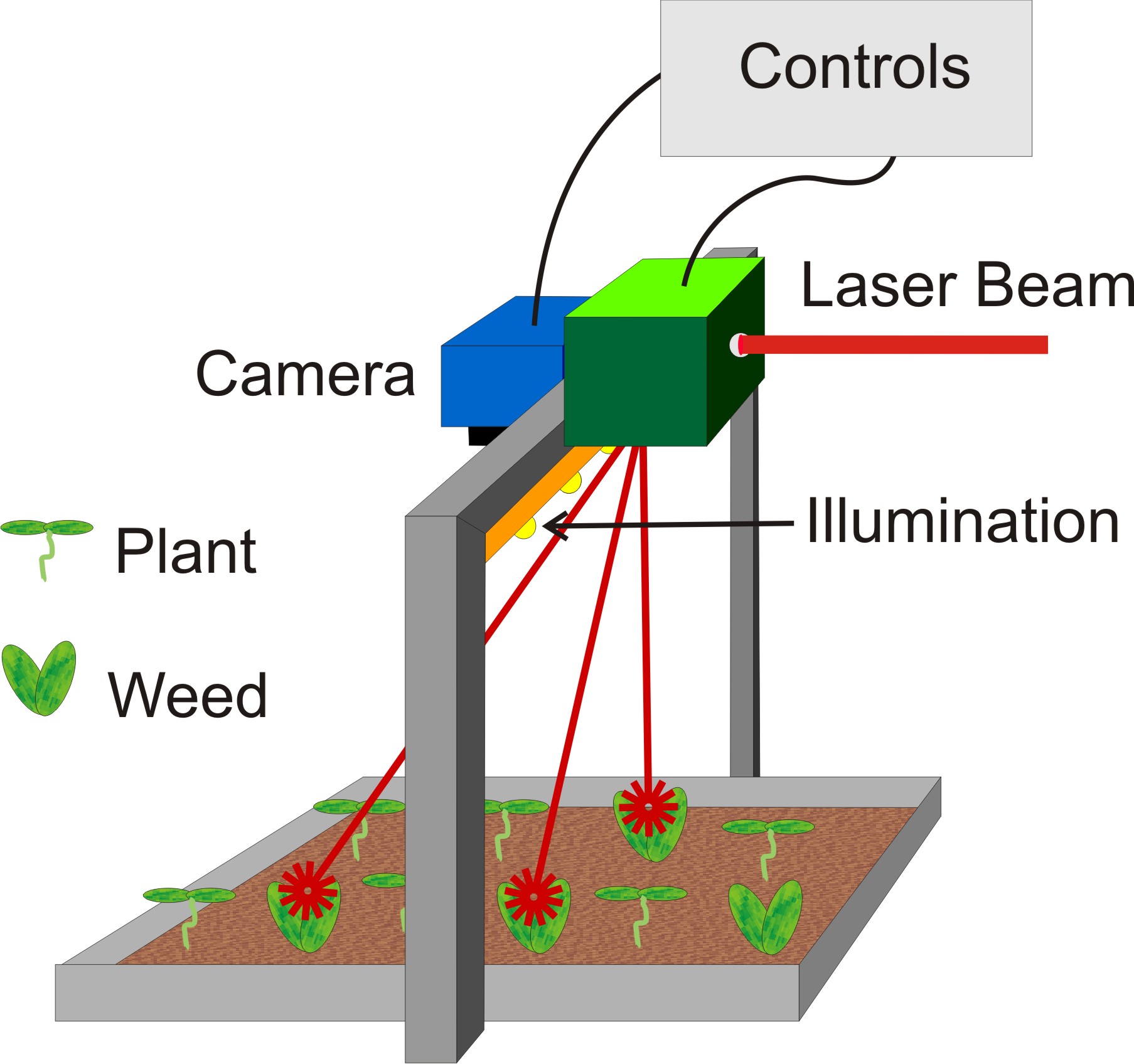 Fighting Weeds with Laser Technology Laser Zentrum Hannover e.V.