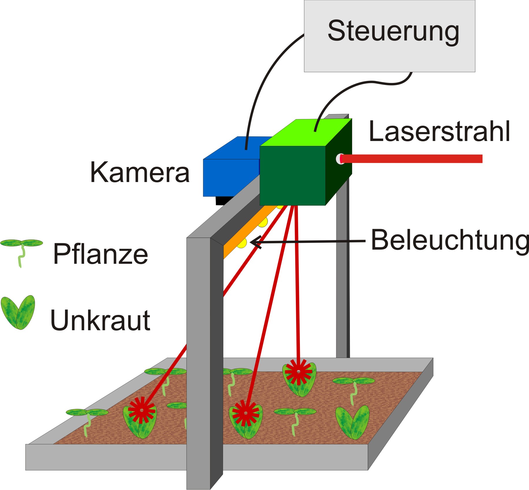 Prinzipsskizze eines Laboraufbaus zur Unkrautbekämpfung mit dem Laser. Die Bildverarbeitung erkennt das Unkraut und lenkt den Laserstrahl darauf.