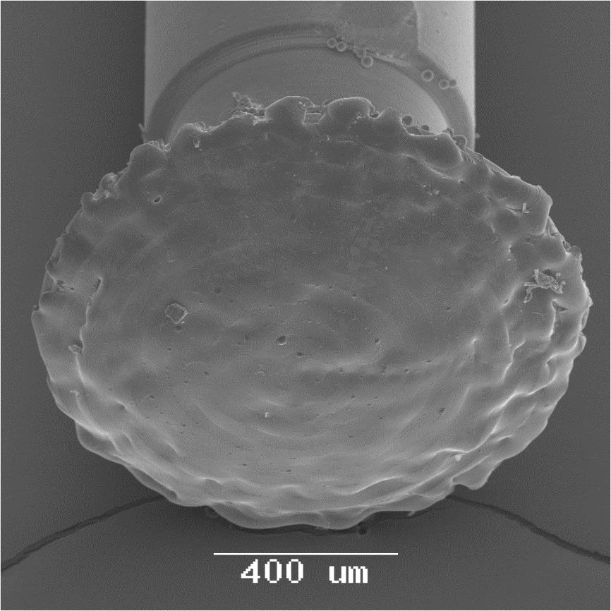 Bild 3: Mit dem Laser Platin-Iridium-beschichteter Elektrodenkopf. (Foto: LZH)