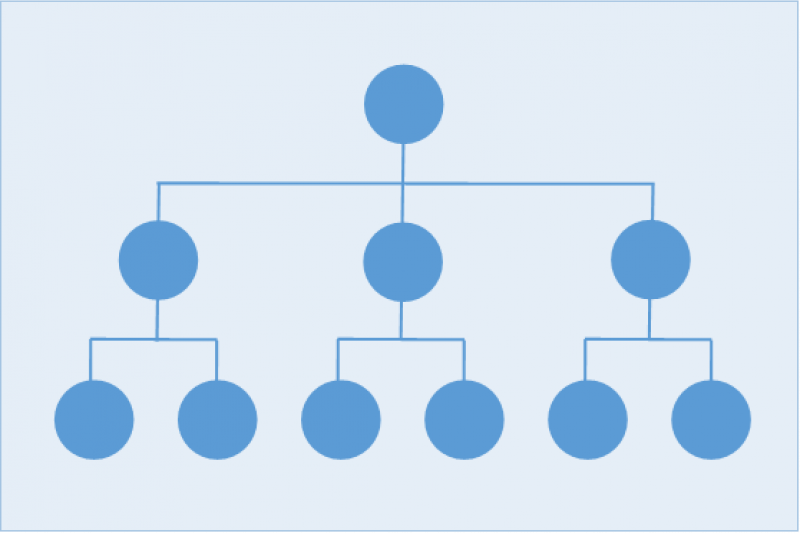 Organisationsstruktur