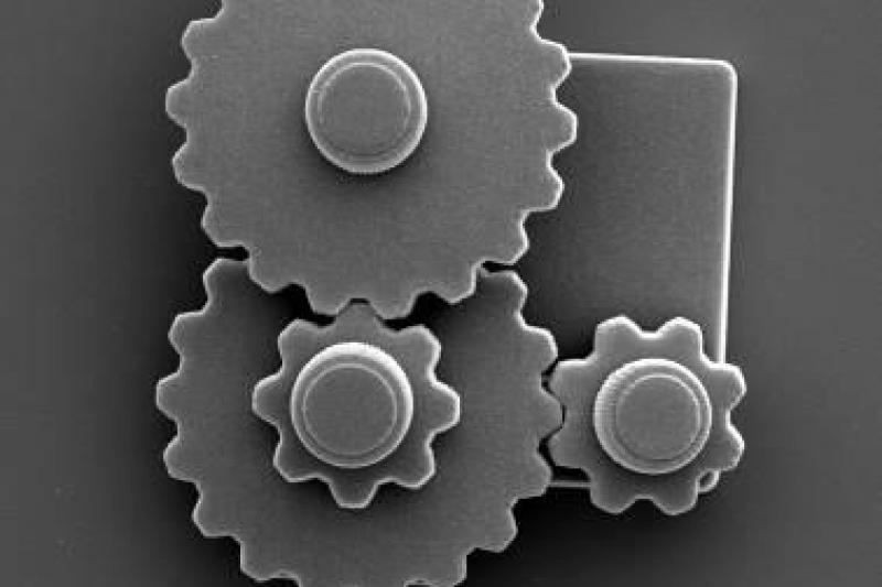 Figure 3: Two-photon-polymerization allows to print objects in a polymer, both three-dimensionally and directly, to create for example micro-gears. (Photo: LZH)
