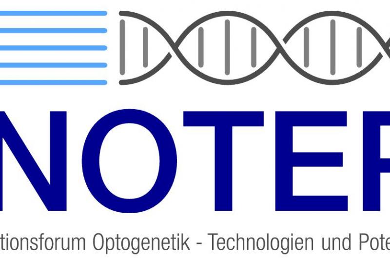 Interested parties reach the initiators of the forum via www.inotep.de: Professor Alexander Heisterkamp and Dr. med. Dag Heinemann.