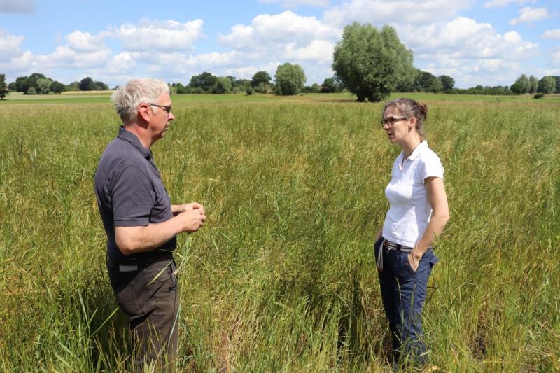 Farmer Friedel Könecke from Isernhagen makes his wheat field available for testing the laser weed control. Here, he is talking to the LZH project manager Dr. Merve Wollweber. (Photo: LZH)
