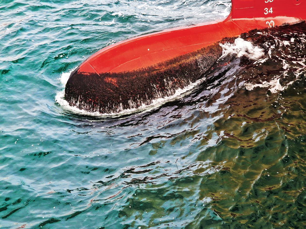 Schiffsrumpf mi Biofouling im Meer.