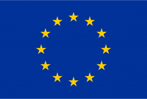 EU Logo