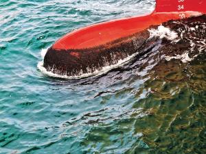 Schiffsrumpf mi Biofouling im Meer.